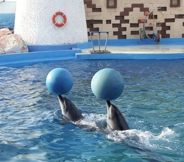 Charmant Appartement Neuf Proche De La Plage Anza Agadir Zewnętrze zdjęcie